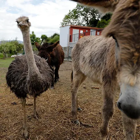 Lar Do Pazo Maison d'hôtes *